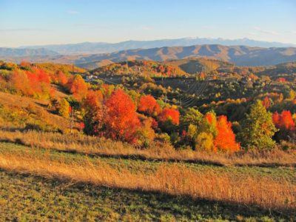 Buletin agrometeorologic pentru perioada 17-23 octombrie