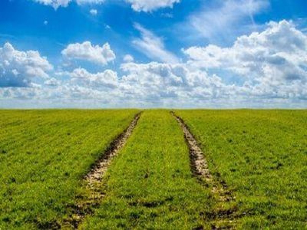Conditii de eligibilitate pentru subventiile pe agromediu