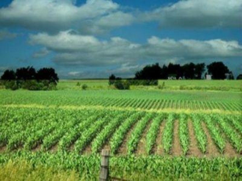 MADR va plati platile restante pe masurile de agromediu