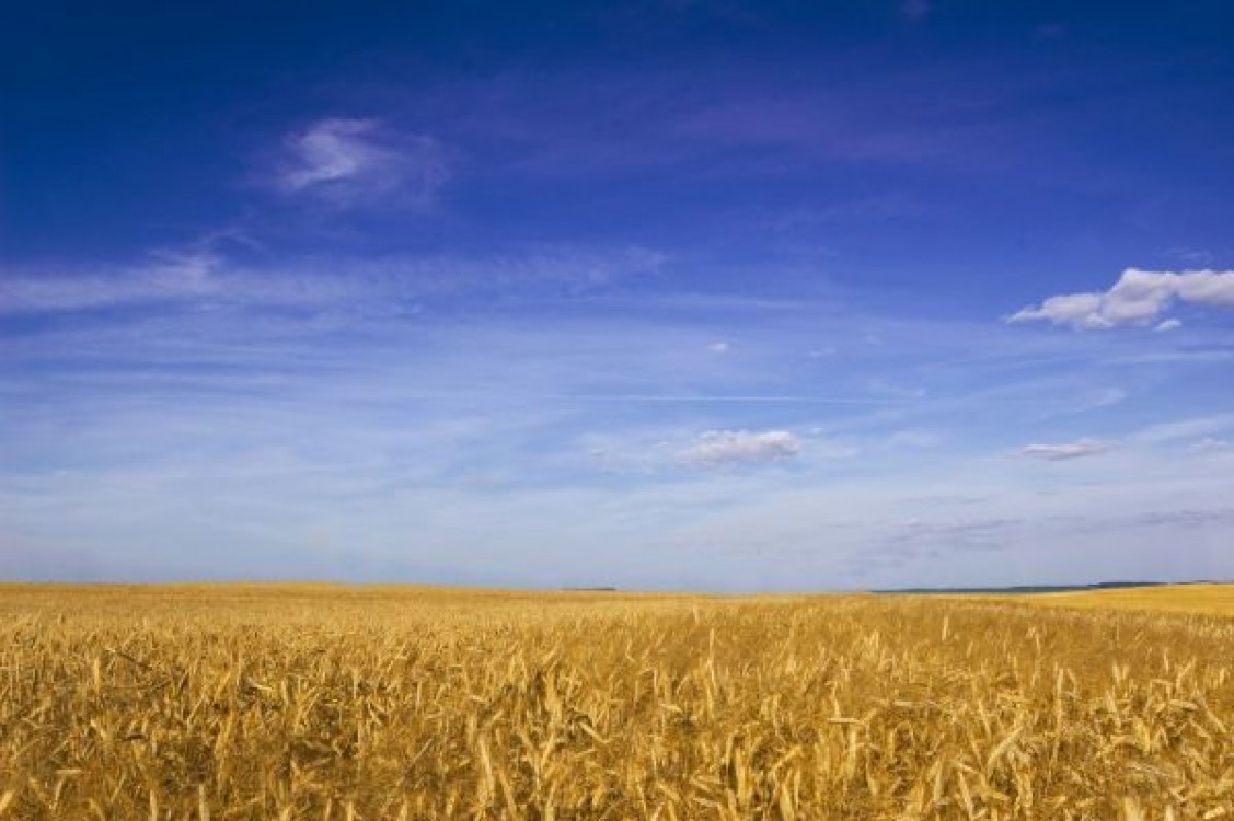 Prognoza agrometeorologica 18 - 24 octombrie 2022. Se intrevad precipitatii sub forma de ploi locale, nesemnificative din punct de vedere agricol