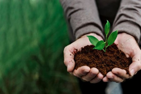 Prognoza agrometeorologica 27 iunie - 1 iulie 2023. Cantitatile de apa pot fi mai insemnate din punct de vedere agricol