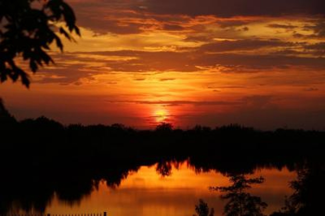 Prognoza agrometeorologica pentru perioada 30 iulie - 5 august 2021