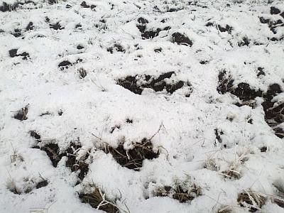 Prognoza agrometeorologica pentru perioada 01-04 ianuarie 2012