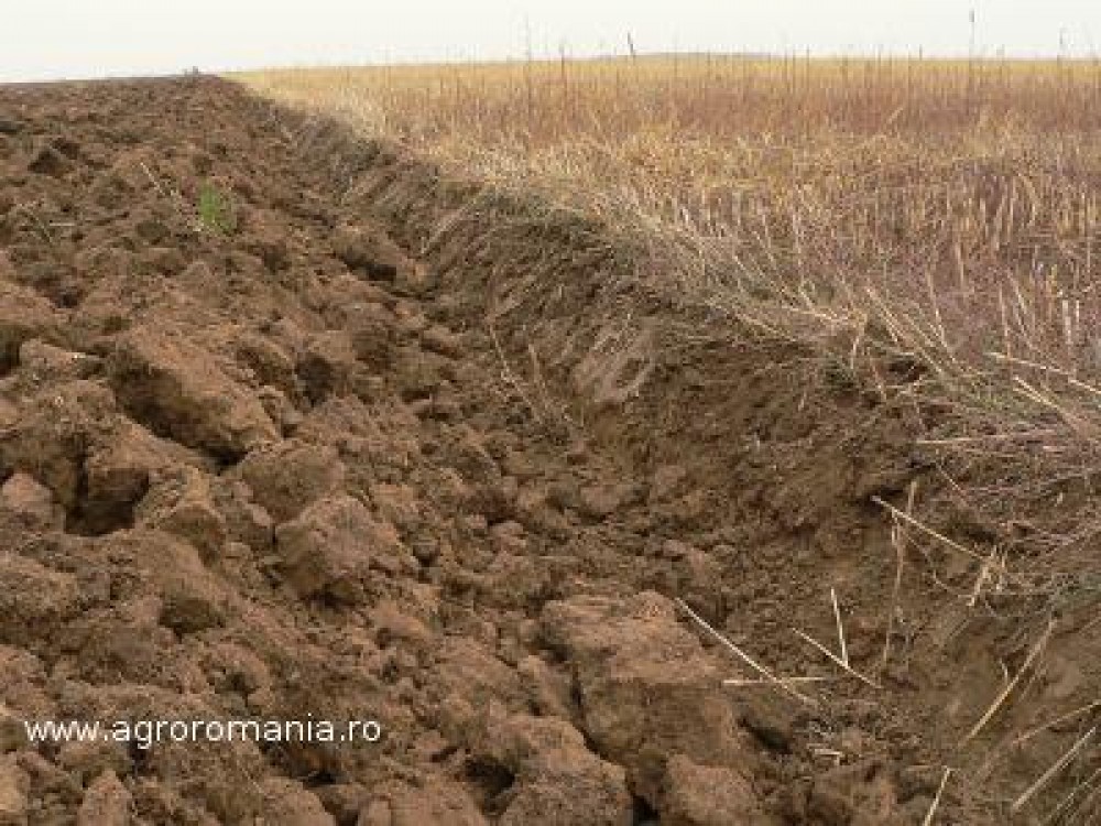 Buletin agrometeologic pentru perioada 12 - 18 octombrie 2013