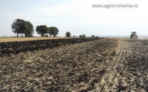 Ce ajutoare de stat vor primi fermierii in 2014