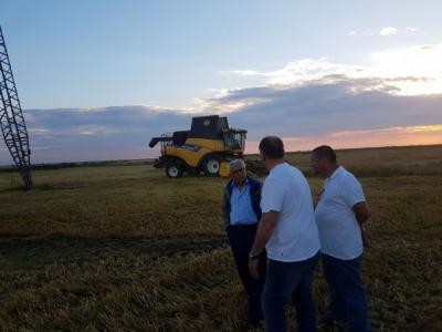 Ministrul Daea: Agricultura fara albine nu se poate face agricultura