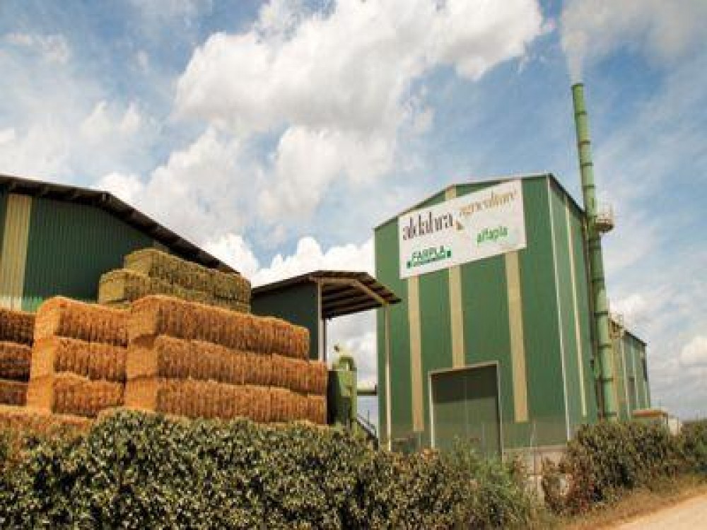 Arabii care au cumparat Agricost anunta noi investitii in agricultura din Romania