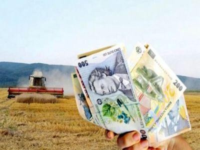 Noi sanctiuni pentru fermierii care nu respecta regulile de accesare a subventiilor