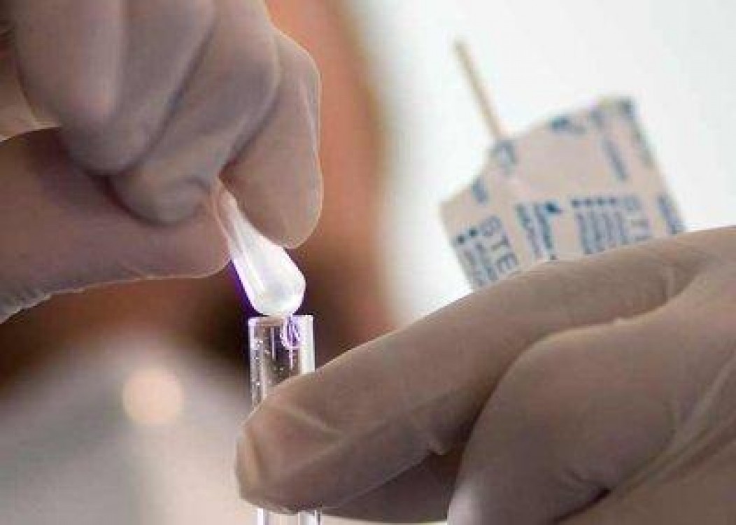 Exercitiu national de simulare pentru pesta porcina africana