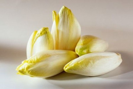 Tehnologia de cultivare a andivelor