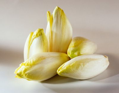 tehnologia-de-cultivare-a-andivelor
