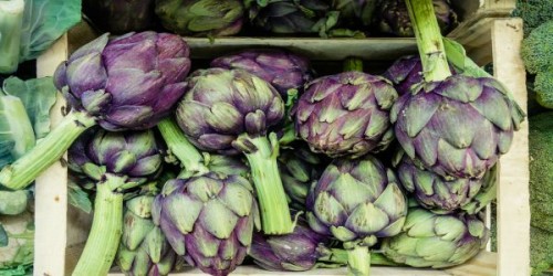Despre anghinare: proprietati, beneficii si plantare