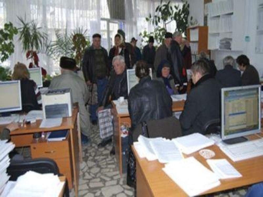 Directorul executiv al APIA Arad in vizorul ANI, pentru conflict de interese si fals in declaratii