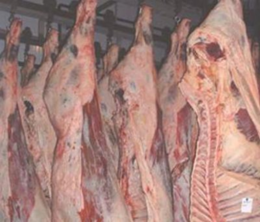 Statistici agricultura zootehnie: Evolutia numarului de animale in 2012