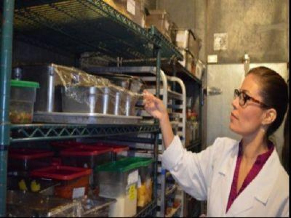 Amenzi de aproape o jumatate de milion de lei aplicate de ANSVSA in sectorul produselor de origine non-animala