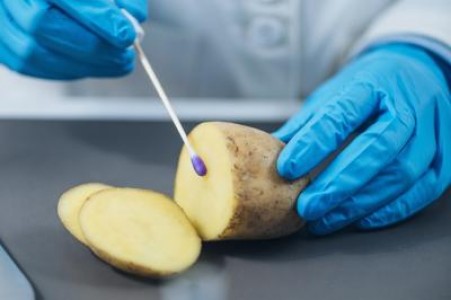 ANSVSA a aplicat amenzi record in noiembrie pentru industria agroalimentara