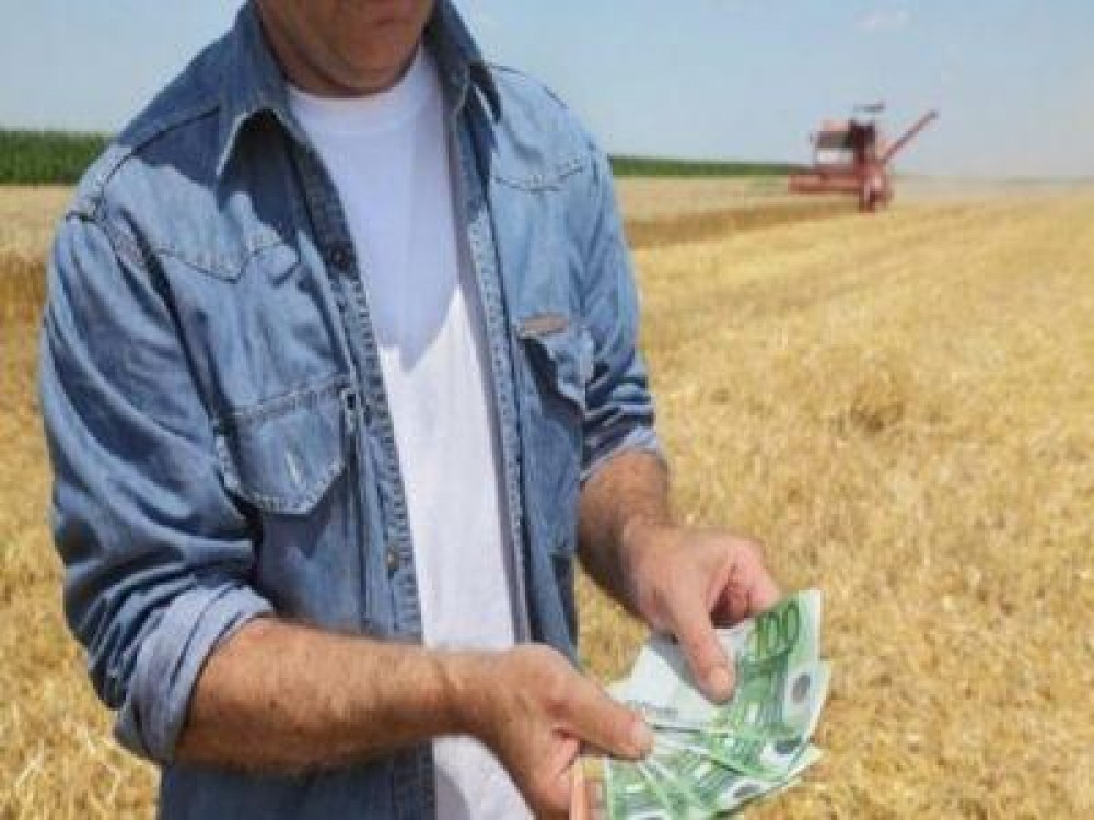 S-au stabilit plafoanele pentru ajutorul national tranzitoriu in sectorul zootehnic si cel vegetal