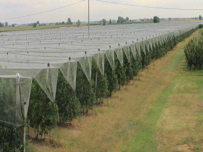 Fonduri disponibile prin PNDR, pentru achizitionarea de sisteme antigrindina