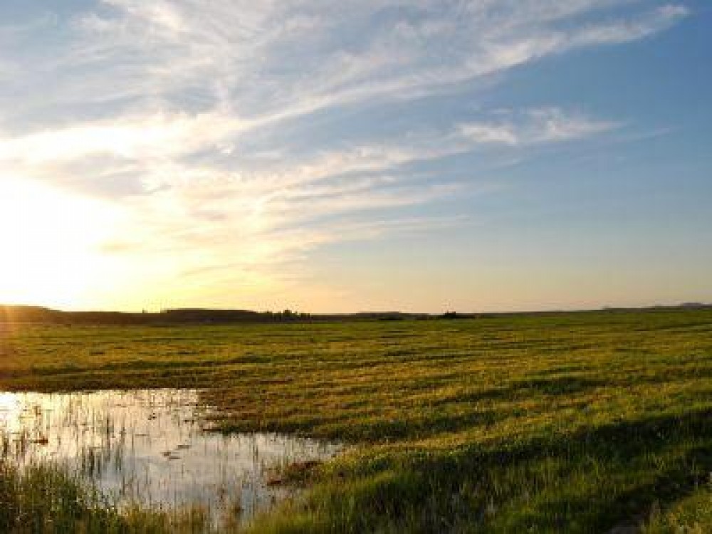 Buletin agrometeorologic pentru perioada 19 - 25 aprilie