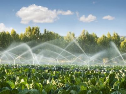 Oportunitati de angajare pentru 130 de tineri si someri din mediul rural