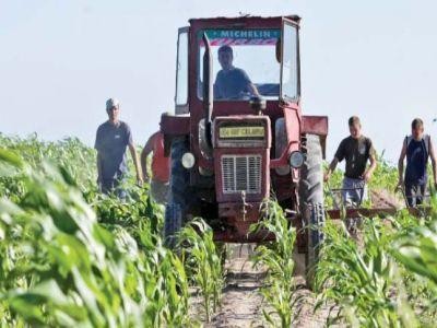 Fermierii vor intra in posesia subventiilor in acelasi an in care sunt efectuate lucrarile in agricultura