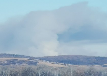 Avertisment APIA: Fermierii care ard terenul agricol nu mai primesc subventii