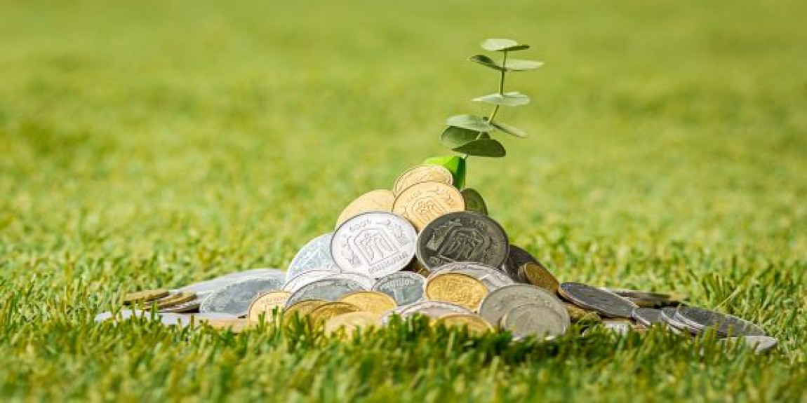 APIA: Campanie de informare privind primirea cererilor de plata aferente anului 2023