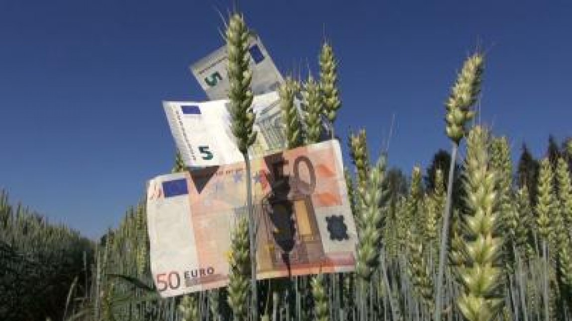 APIA plateste 7.600 de euro/ha pentru legumele cultivate in sere si solarii