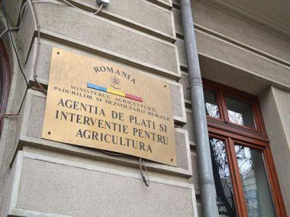 Oportunitati de angajare la APIA