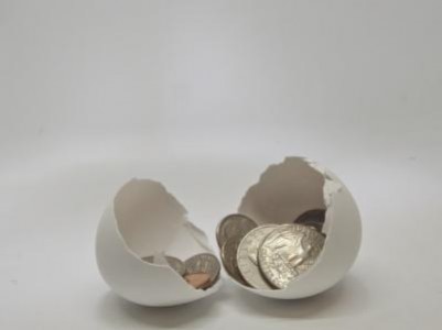 APIA: Incepe sesiunea de depuneri de cereri de plata pentru bunastarea pasarilor