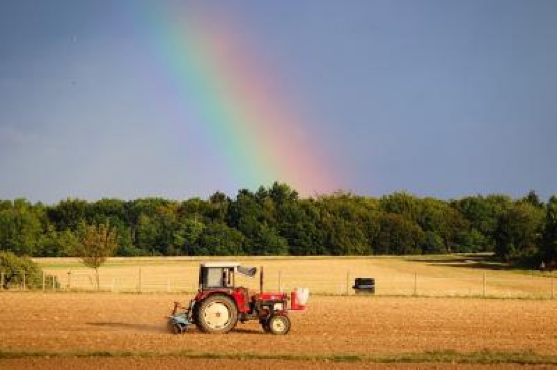 Campania 2021. Peste 1 miliard de euro, autorizat la plata de APIA