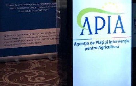 APIA va plati la mijloc de octombrie fermierii care au depus cererea unica de plata