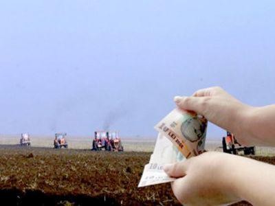 APIA: Peste 95 de milioane de euro au fost aprobate la plata subventiilor