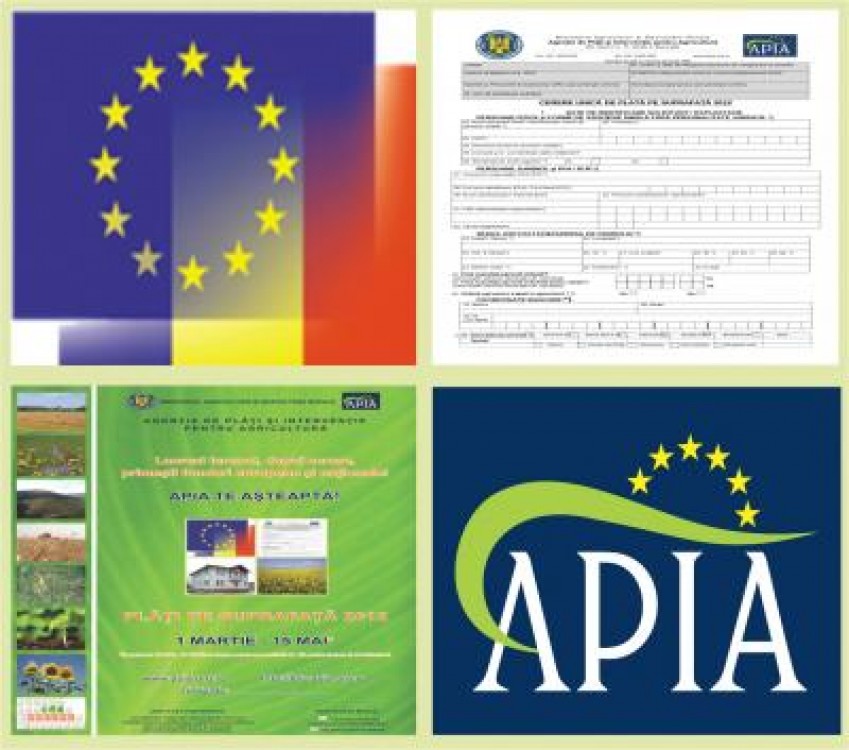 Situatia cererilor pentru subventia pe suprafata depuse in Harghita, in 2012