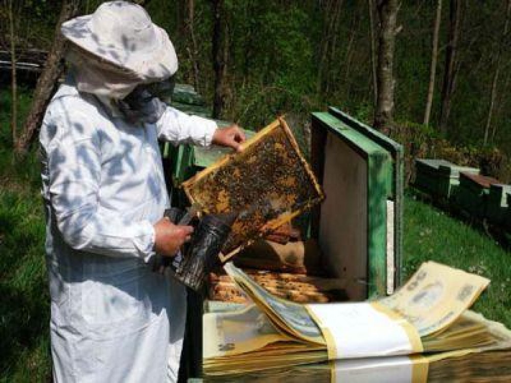Apicultorii, asteptati la APIA pentru a-si depune cererile pentru subventii
