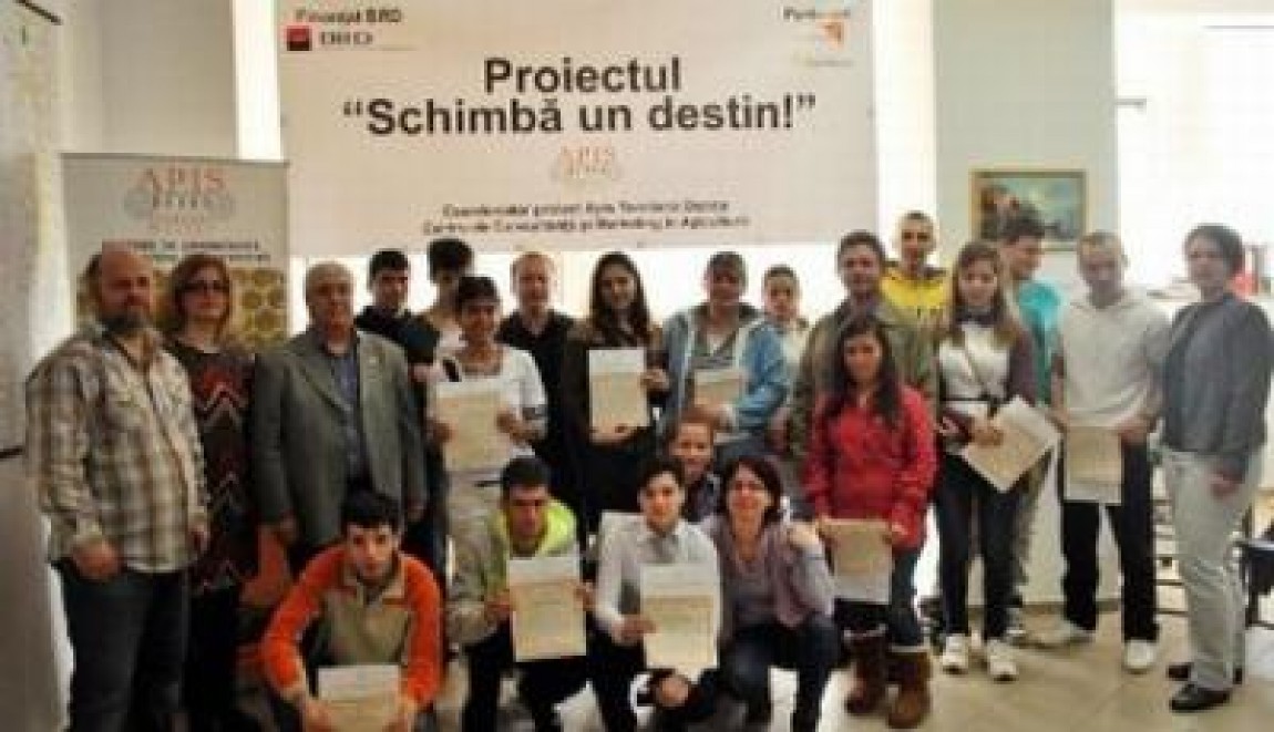 Apicultura, o sansa pentru tinerii constanteni