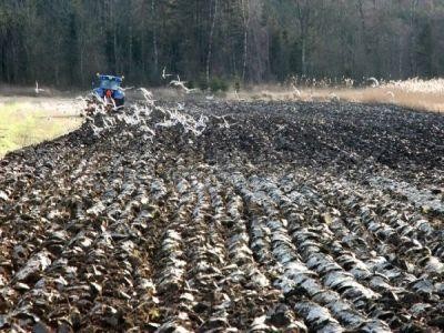 Care sunt documentele necesare pentru a obtine subventia pentru motorina