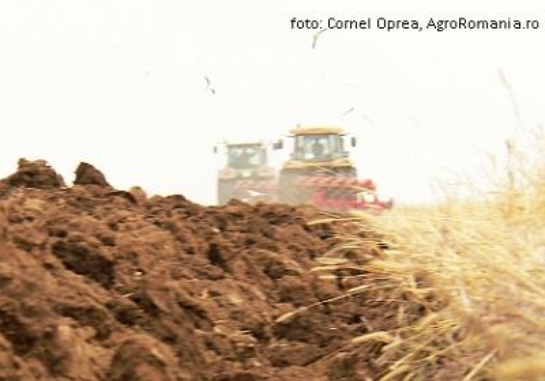 Cat costa pregatirea unui hectar de teren, in nordul tarii