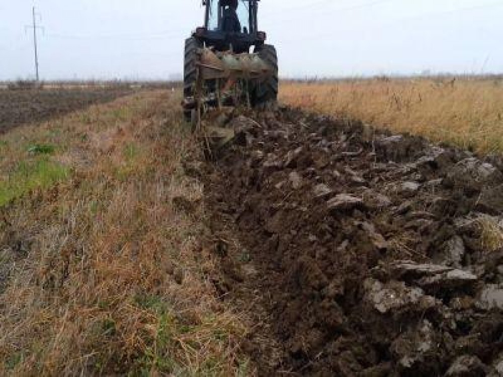 Buletin agrometeorologic pentru perioada 8-12 august