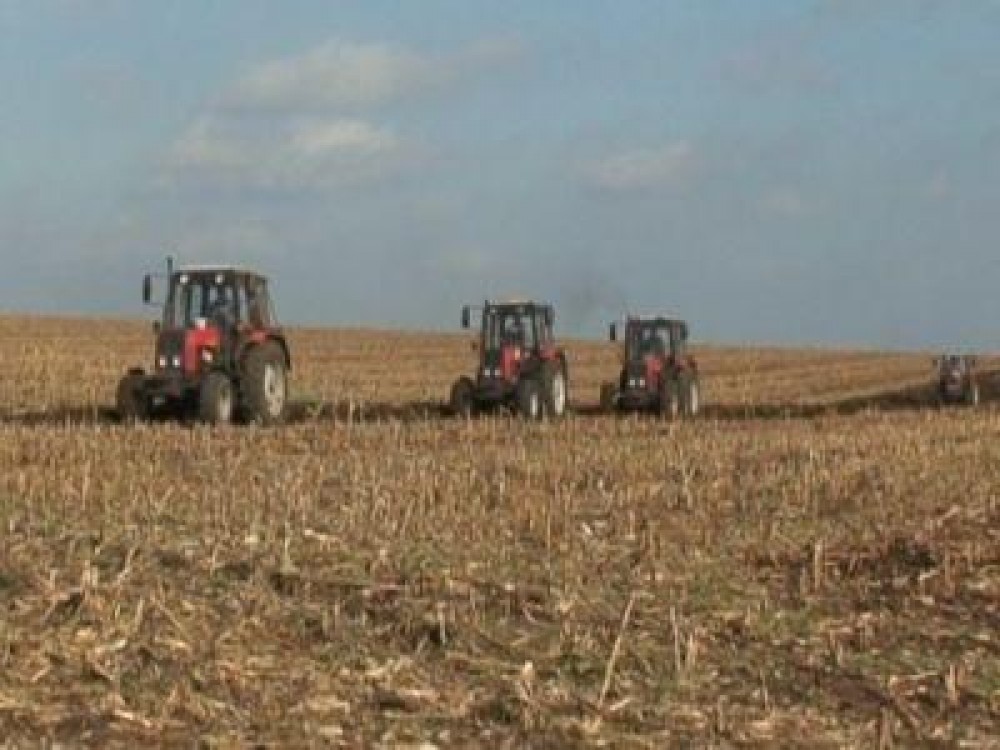 Care au fost cei mai eficienti fermieri la finele anului trecut