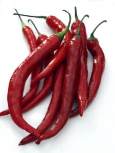Avertizare privind raspandirea infectiilor cu Fusarium (fusarioza), Phytophtora (mana), Septoria (septorioza), Leveilula (fainare) si Botritis (putregai cenusiu) in Ilfov si judetele limitrofe