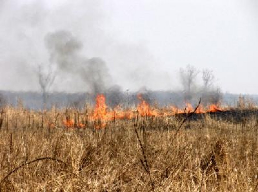 Atentionare a Garzii de Mediu privind arderea miristilor, a vegetatiei uscate si a resturilor vegetale