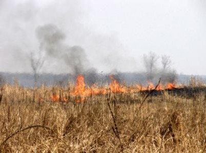 Atentionare a Garzii de Mediu privind arderea miristilor, a vegetatiei uscate si a resturilor vegetale