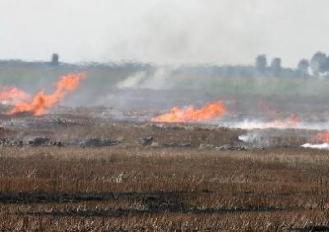 Masuri luate de Minister pentru limitarea incendiilor de miriste si vegetatie uscata