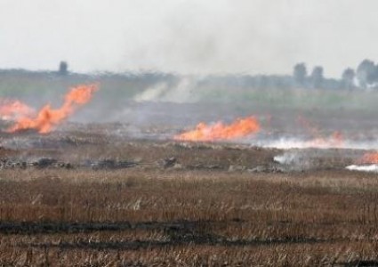 Masuri luate de Minister pentru limitarea incendiilor de miriste si vegetatie uscata