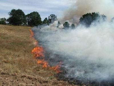 Sanctiuni severe pentru nerespectarea  normelor de ecoconditionalitate