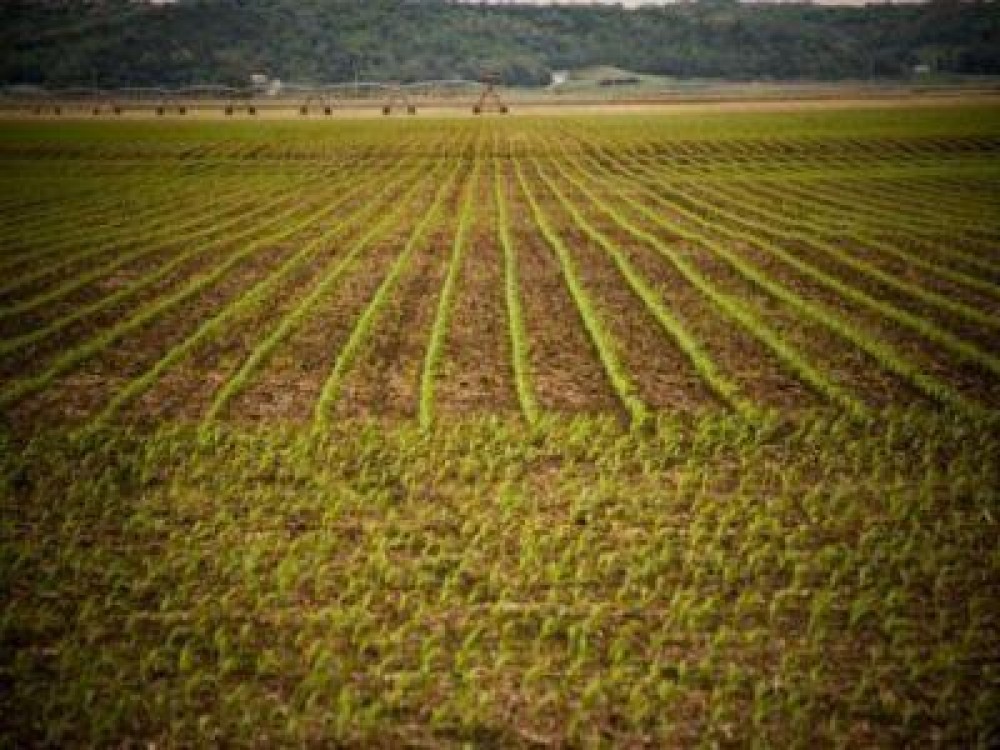 Preturile medii ale produselor agricole, pe baza carora se calculeaza impozitul pe arenda
