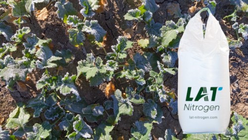Cresterea eficientei fertilizarii prin alegerea ingrasamantului potrivit !