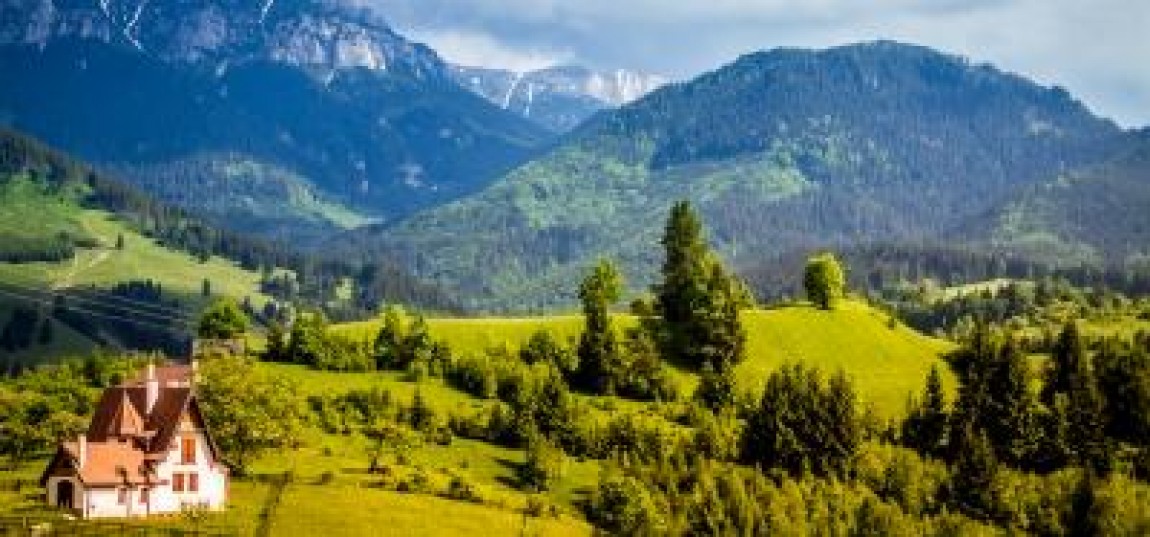 Doi noi secretari de stat la Ministerul Agriculturii