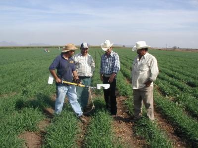 Primii fermieri nemultumiti de Masura 121 a PNDR